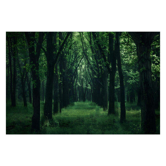 Enchanted Green Forest Wooden Jigsaw Puzzle: Tranquil Woodland Scene