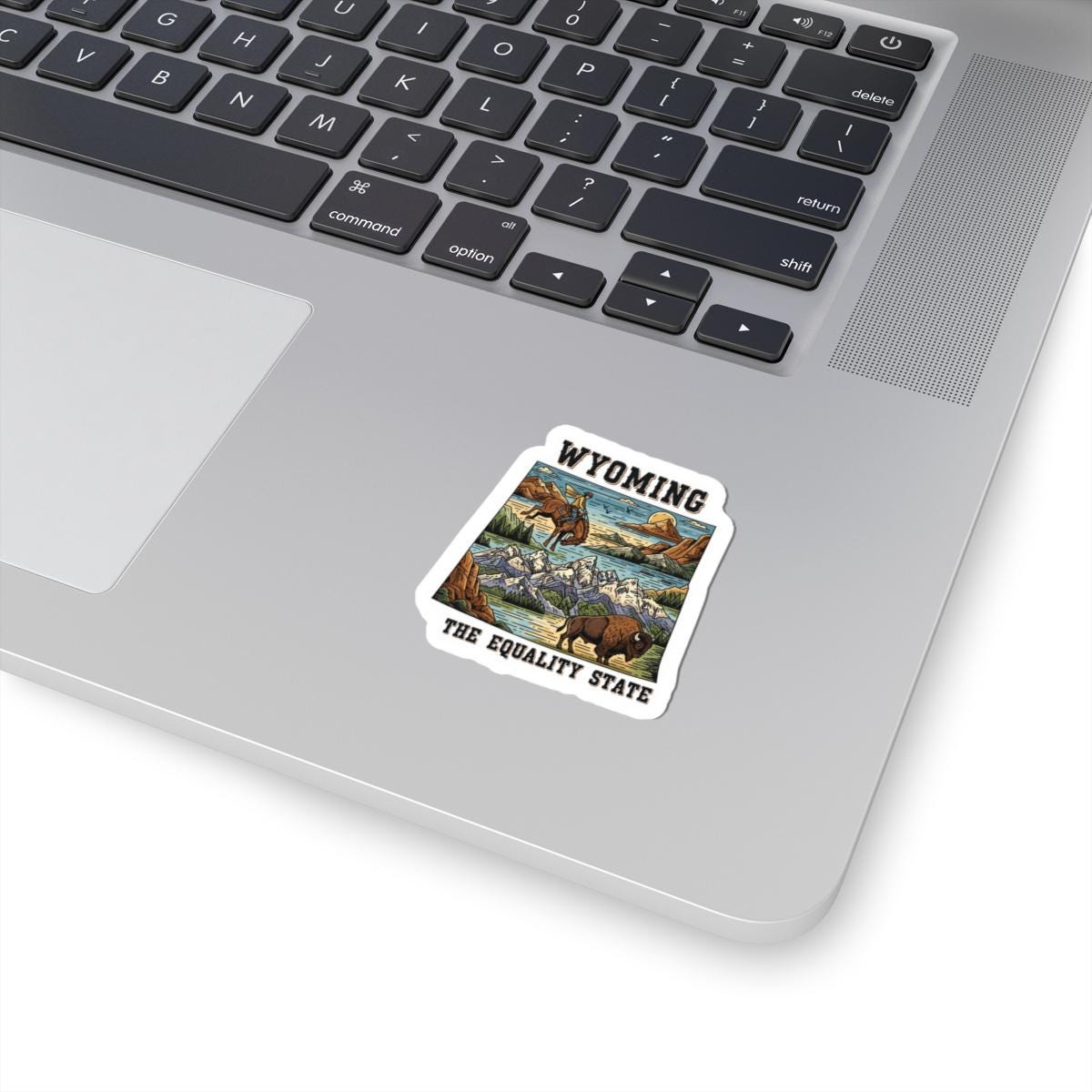 ColorFlow | Wyoming Vinyl Sticker Pack | Equality State Cowboy Bison Mountain Art | Waterproof Glossy Matte Holographic