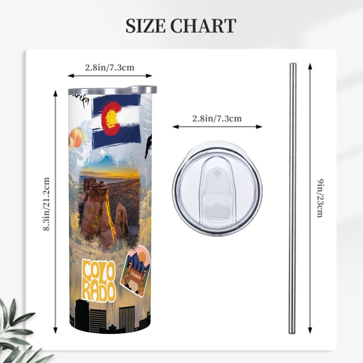 ColorFlow | Colorado Mountain Escape 20oz Skinny Stainless Steel Tumbler with Straw | Rocky Mountains Adventure Travel Cup