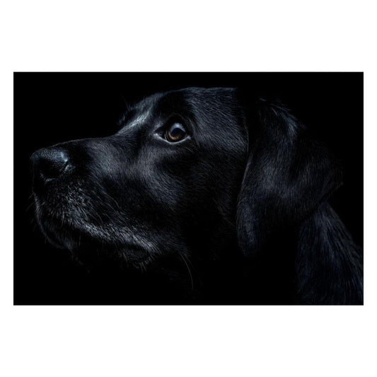 Black Dog Portrait Wooden Jigsaw Puzzle: Moody Fine Art Silhouette