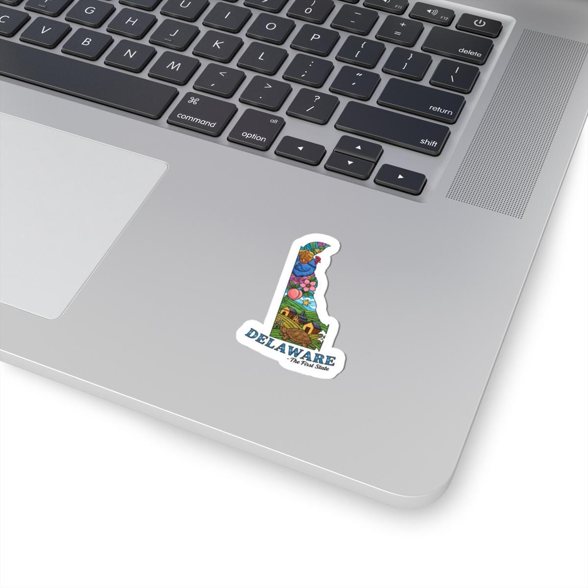 ColorFlow | Delaware Vinyl Sticker | The First State Decal | Waterproof Durable | Made in USA | Cute Art | Laptop Water Bottle