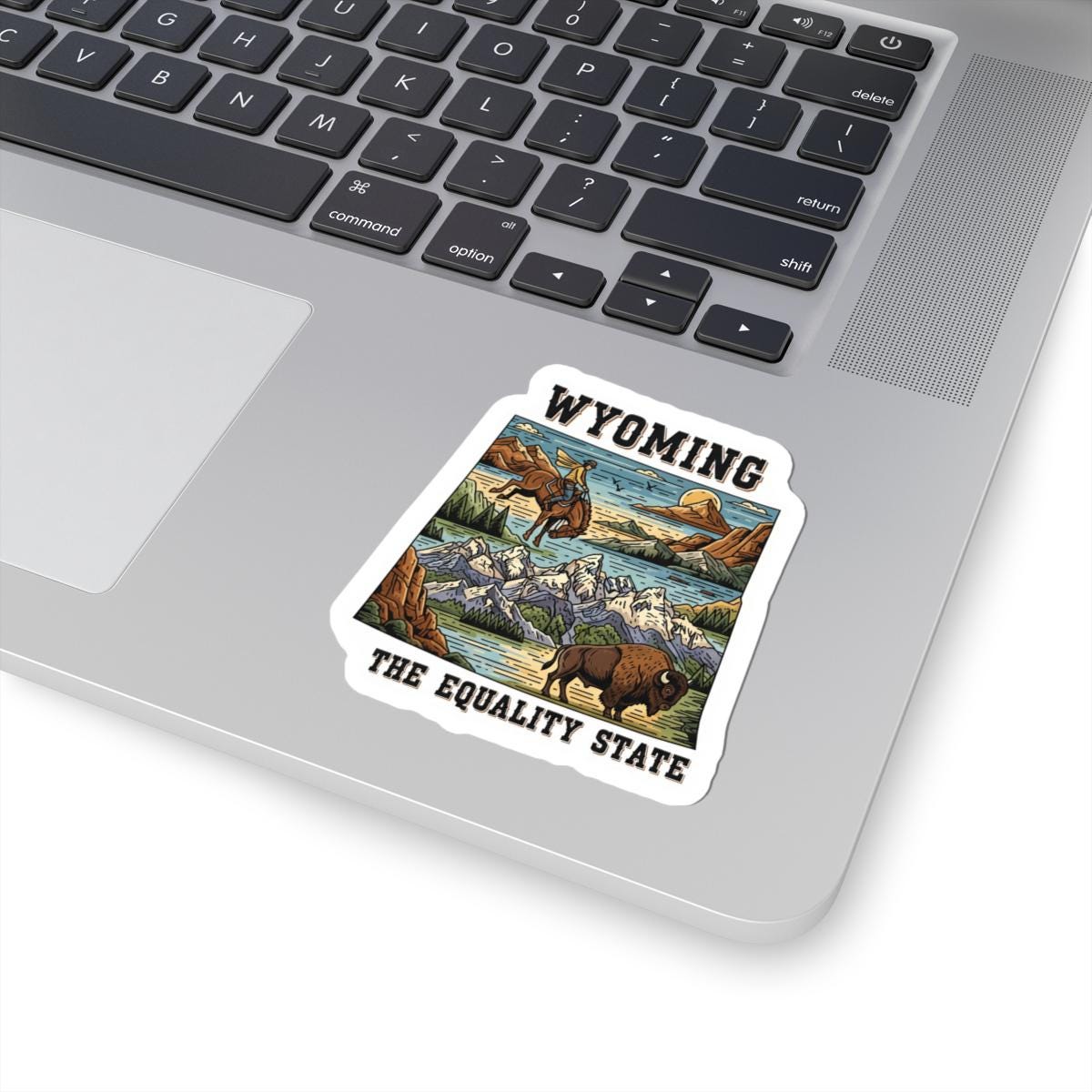 ColorFlow | Wyoming Vinyl Sticker Pack | Equality State Cowboy Bison Mountain Art | Waterproof Glossy Matte Holographic