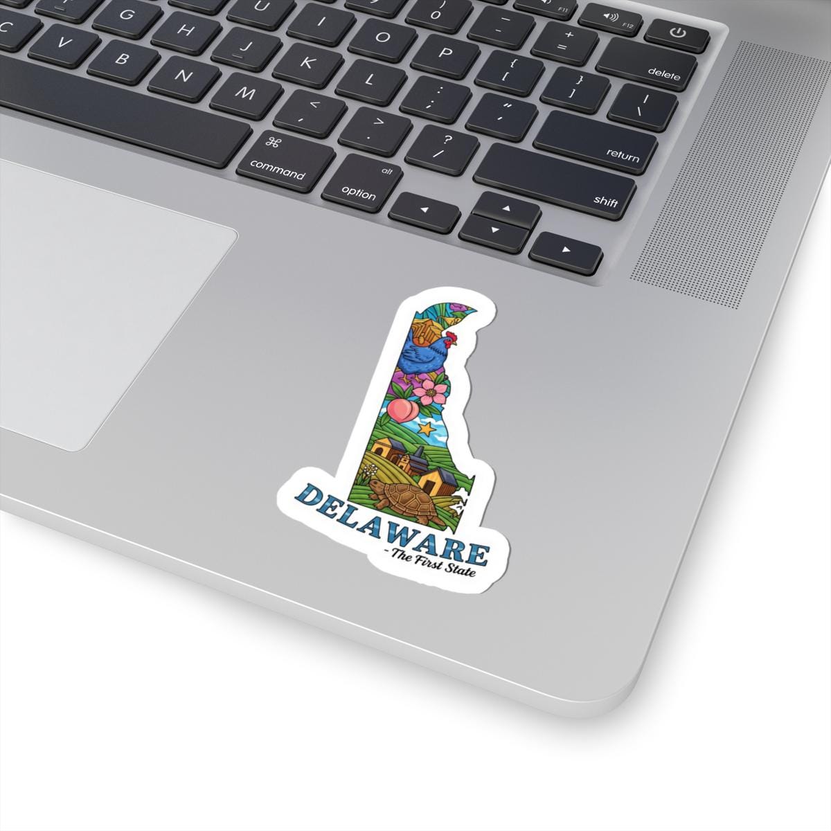 ColorFlow | Delaware Vinyl Sticker | The First State Decal | Waterproof Durable | Made in USA | Cute Art | Laptop Water Bottle