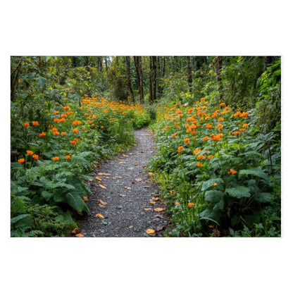 Forest Path Wooden Jigsaw Puzzle | Nature Art for Adults and Kids