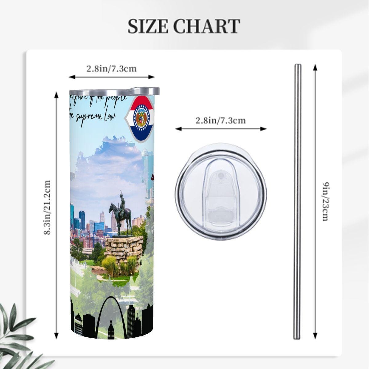 ColorFlow | Missouri State Pride Tumbler | Gateway Arch Historic Cityscape | 20oz Skinny Stainless Steel With Straw