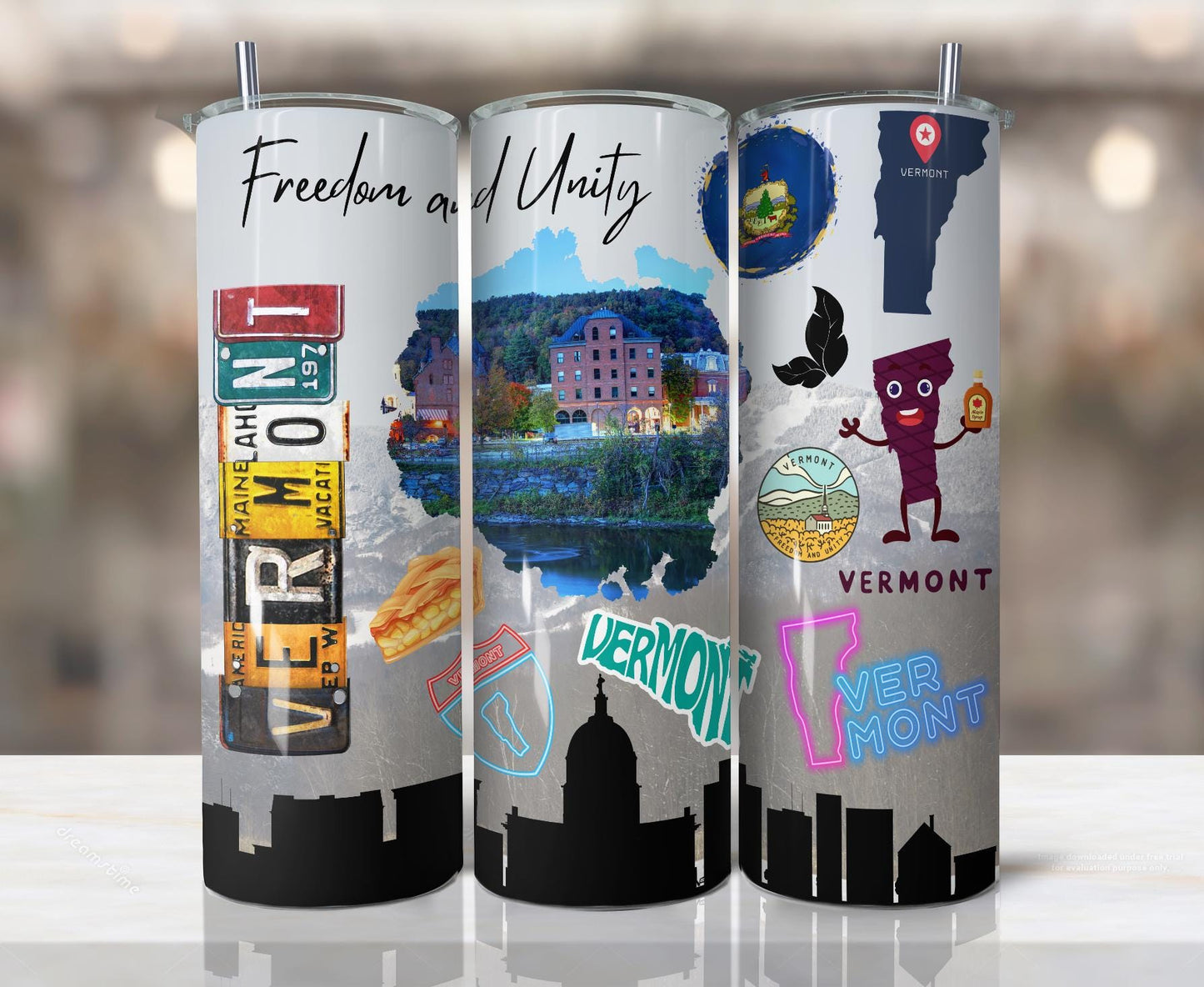 ColorFlow | Vermont Skinny Tumbler | State Pride License Plate Collage | Landmark Travel Design | 20oz Stainless Steel Cup