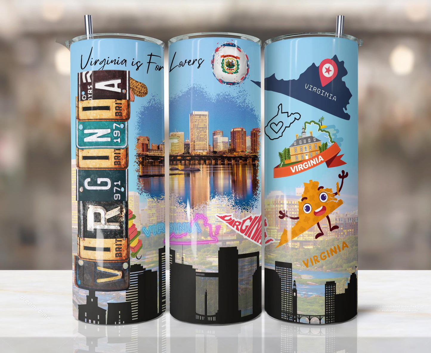 ColorFlow | Virginia Skinny Tumbler | State Pride License Plate Collage | Landmark Travel Design | 20oz Stainless Steel Cup