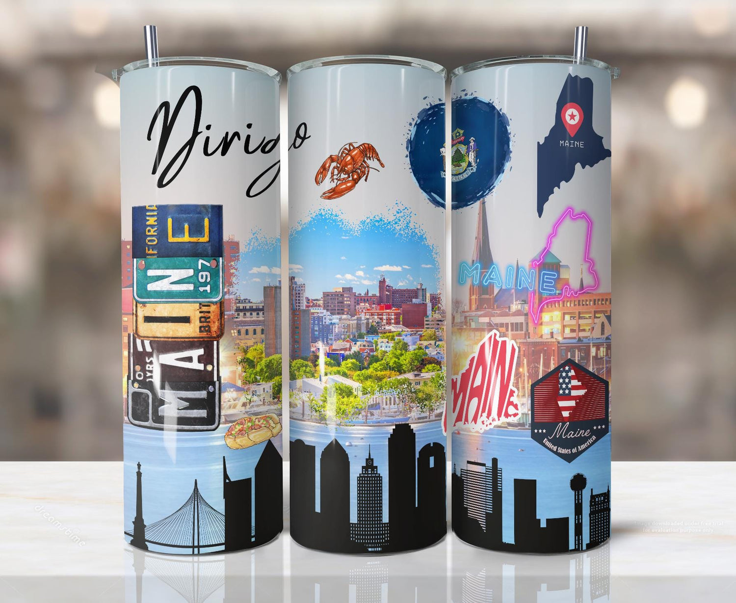 ColorFlow | Maine Coastal Pride 20oz Skinny Stainless Steel Tumbler with Straw | Portland Harbor Lobster State Cup