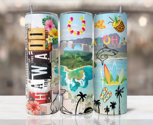 ColorFlow | Hawaii Island Paradise 20oz Skinny Stainless Steel Tumbler with Straw | Aloha Tropical Beach Surf Cup