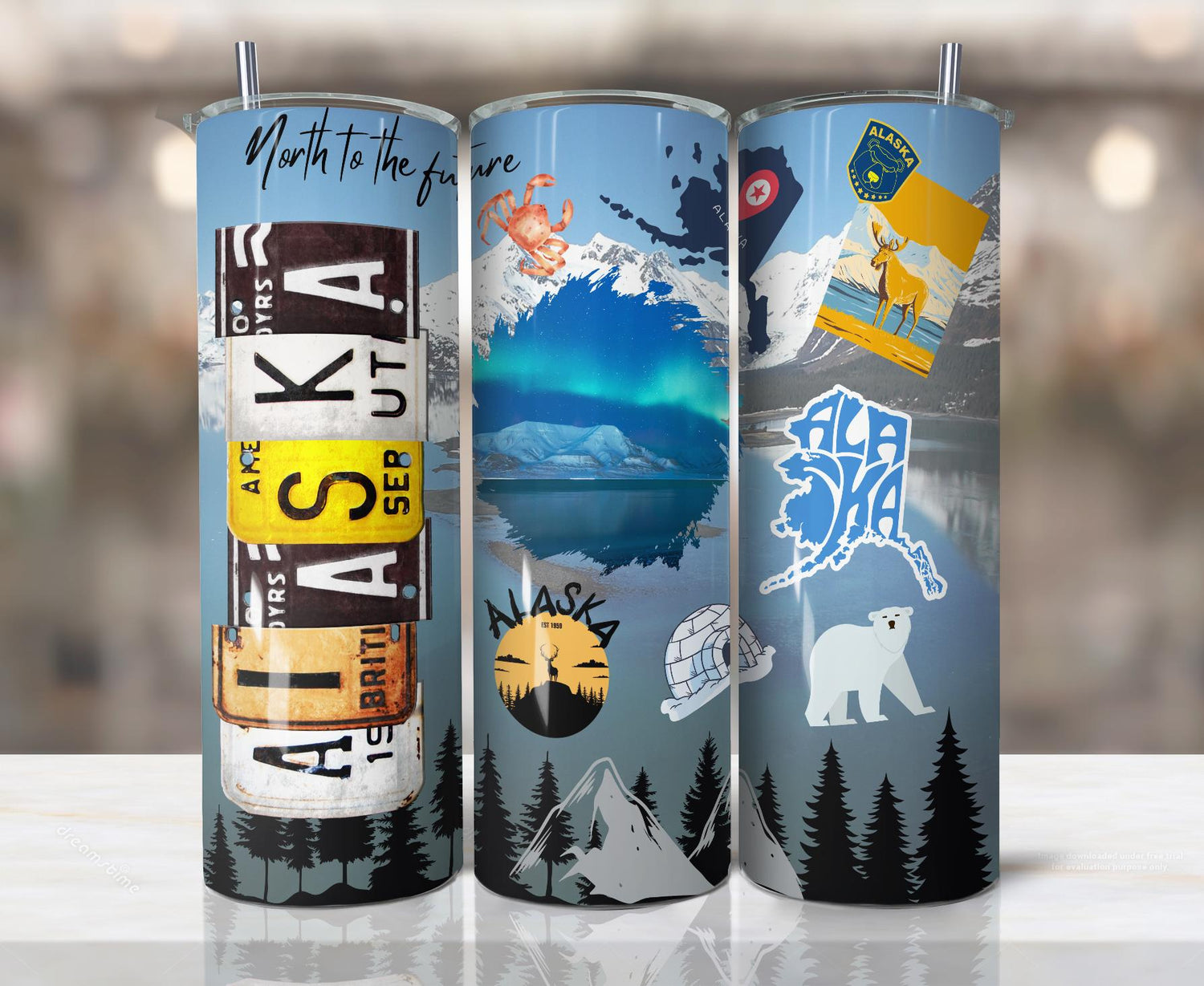 ColorFlow | Alaska Northern Lights 20oz Skinny Stainless Steel Tumbler with Straw | Arctic Wilderness Adventure Cup