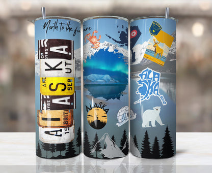 ColorFlow | Alaska Northern Lights 20oz Skinny Stainless Steel Tumbler with Straw | Arctic Wilderness Adventure Cup