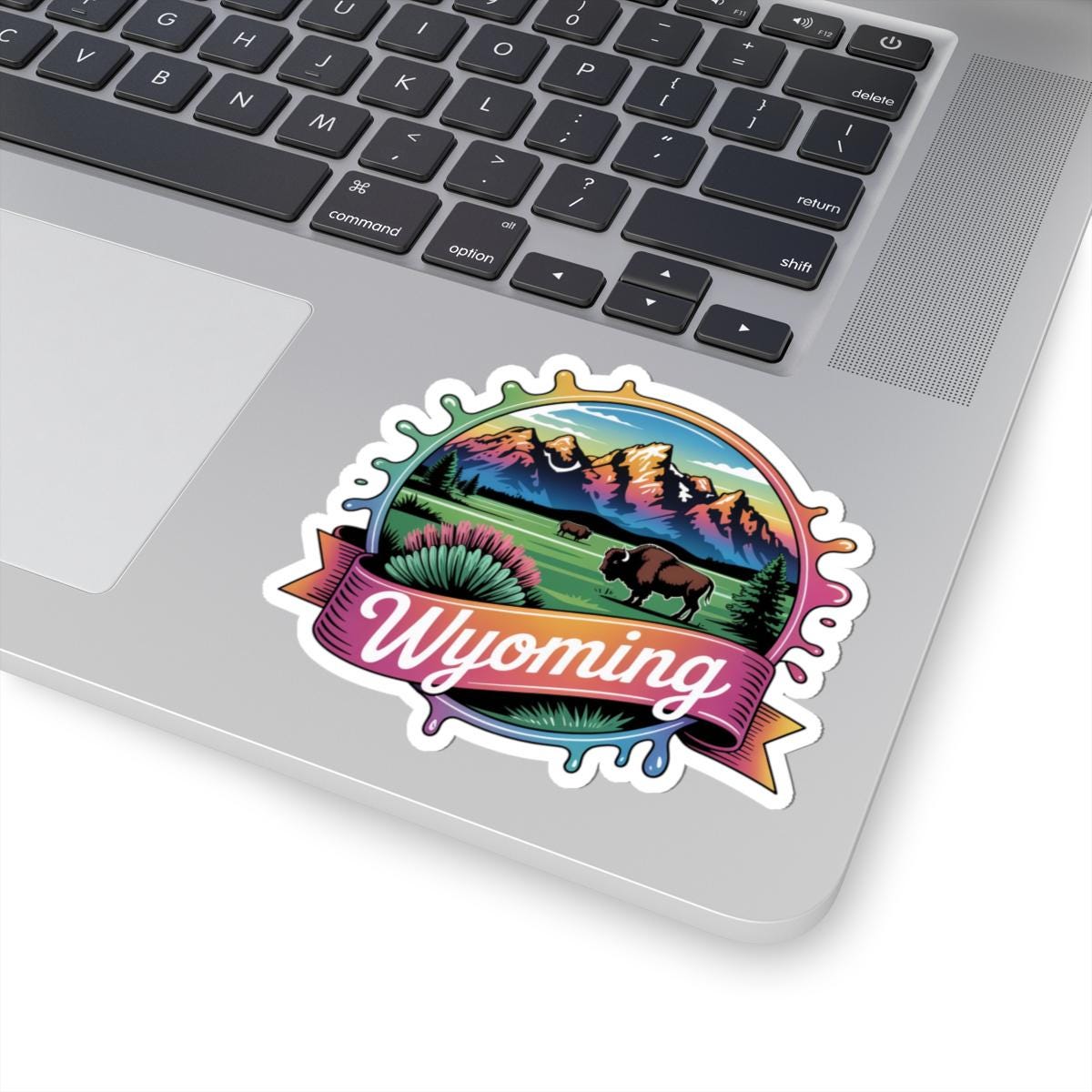 ColorFlow | Wyoming Grand Teton Bison Landscape Vinyl Sticker | Western Mountain Scenic Art Decal